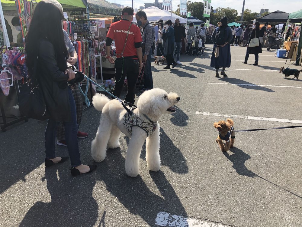 ドッグエキスポ福岡