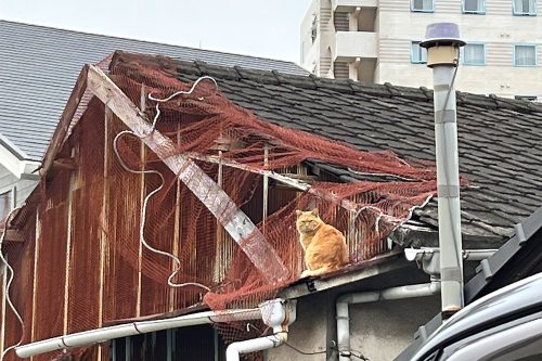 別府　beppu　アート　散策